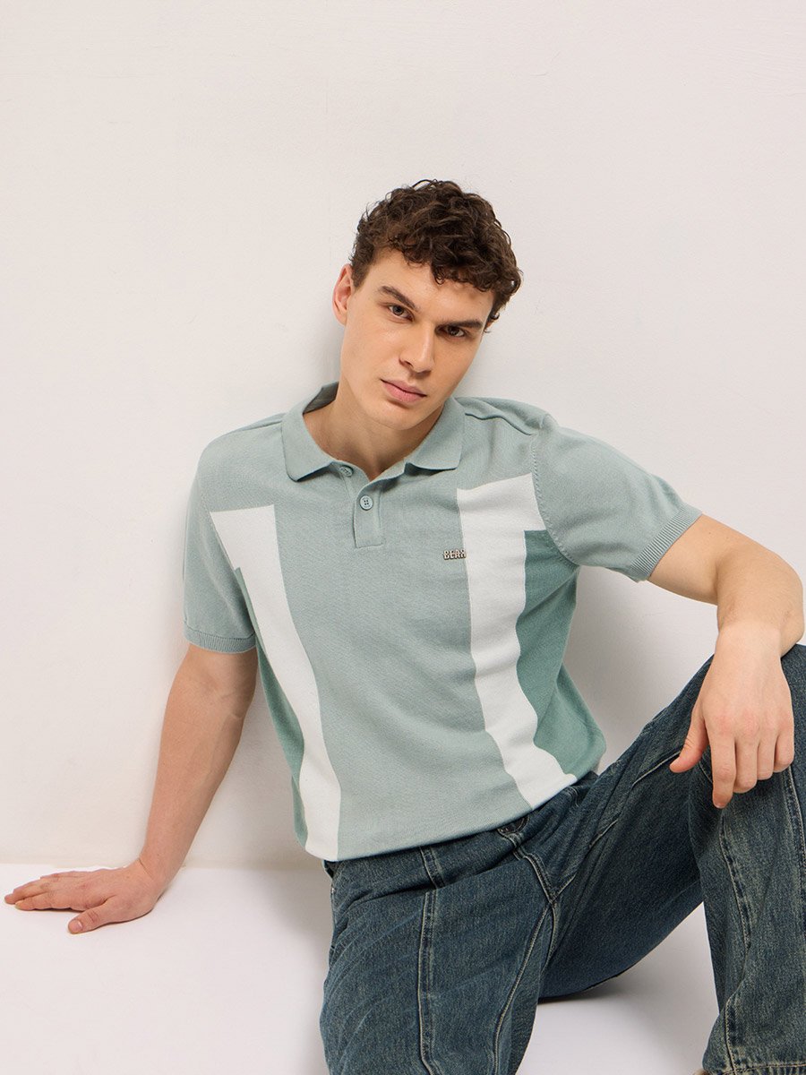Men Cotton Color Block Regular Fit Polo