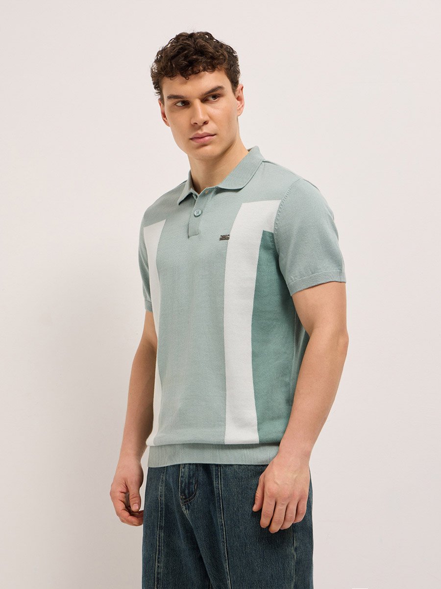 Men Cotton Color Block Regular Fit Polo