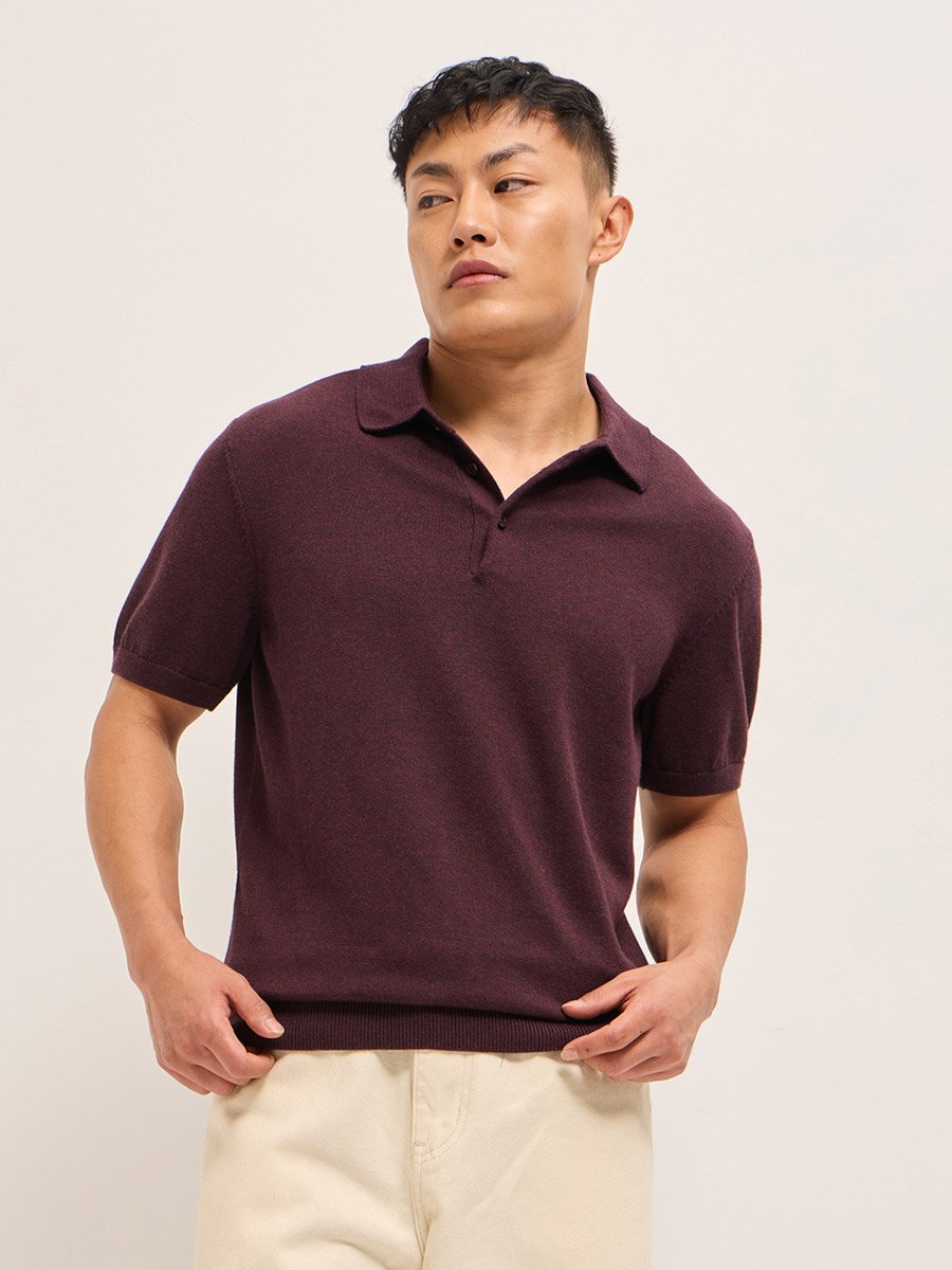Men Solid Cotton Regular Fit Polo