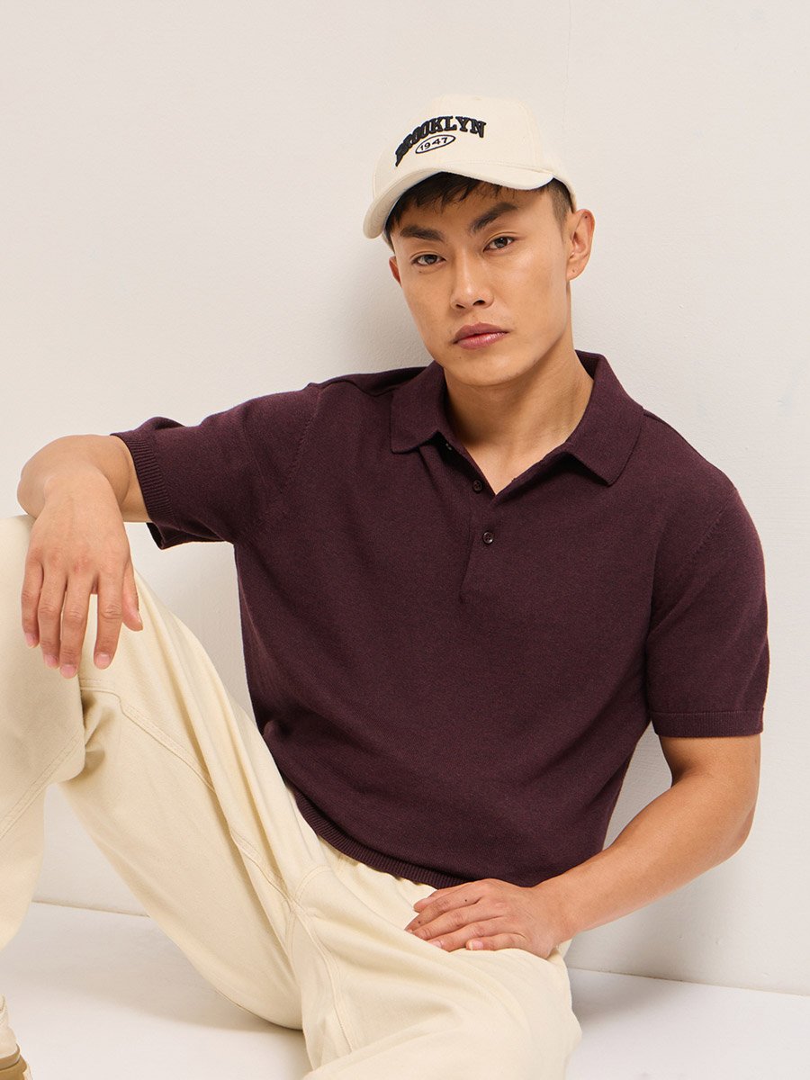 Men Solid Cotton Regular Fit Polo