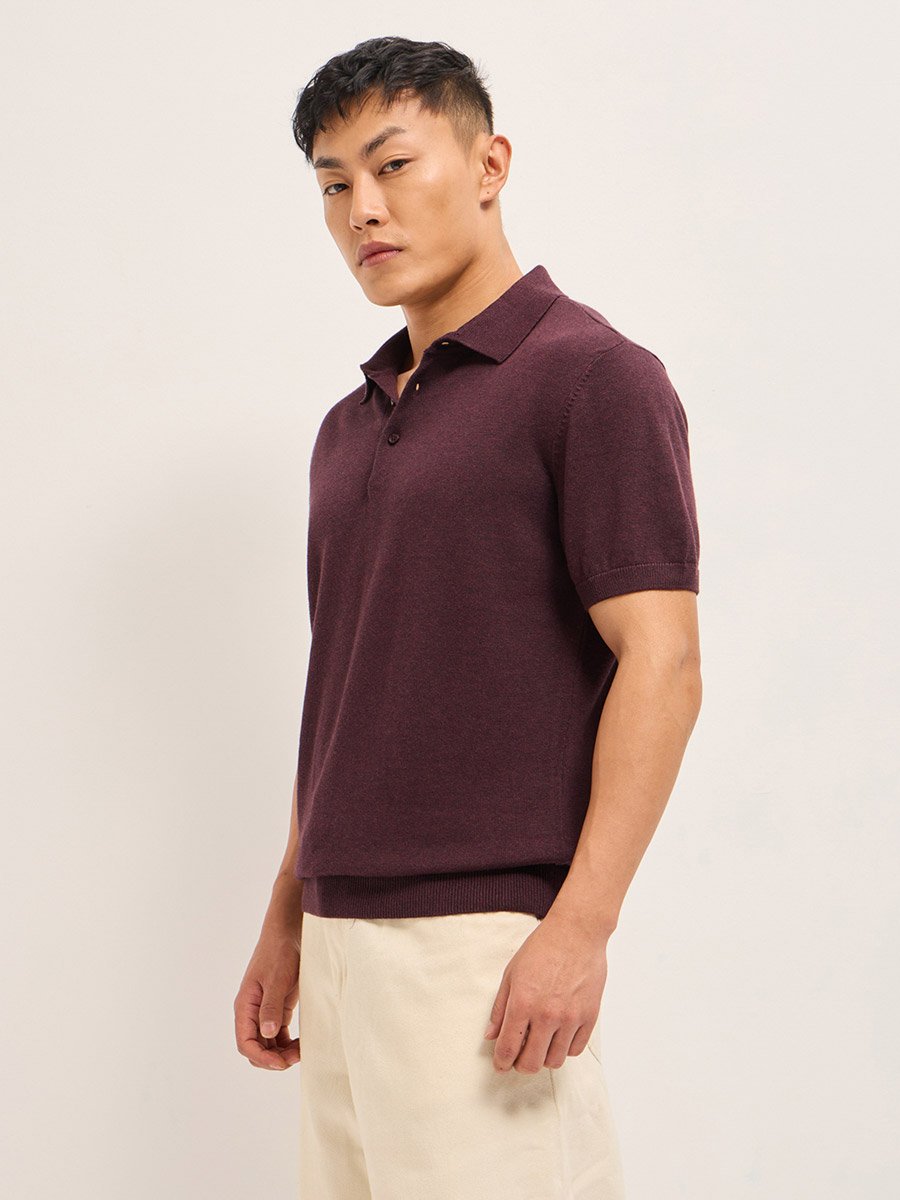 Men Solid Cotton Regular Fit Polo