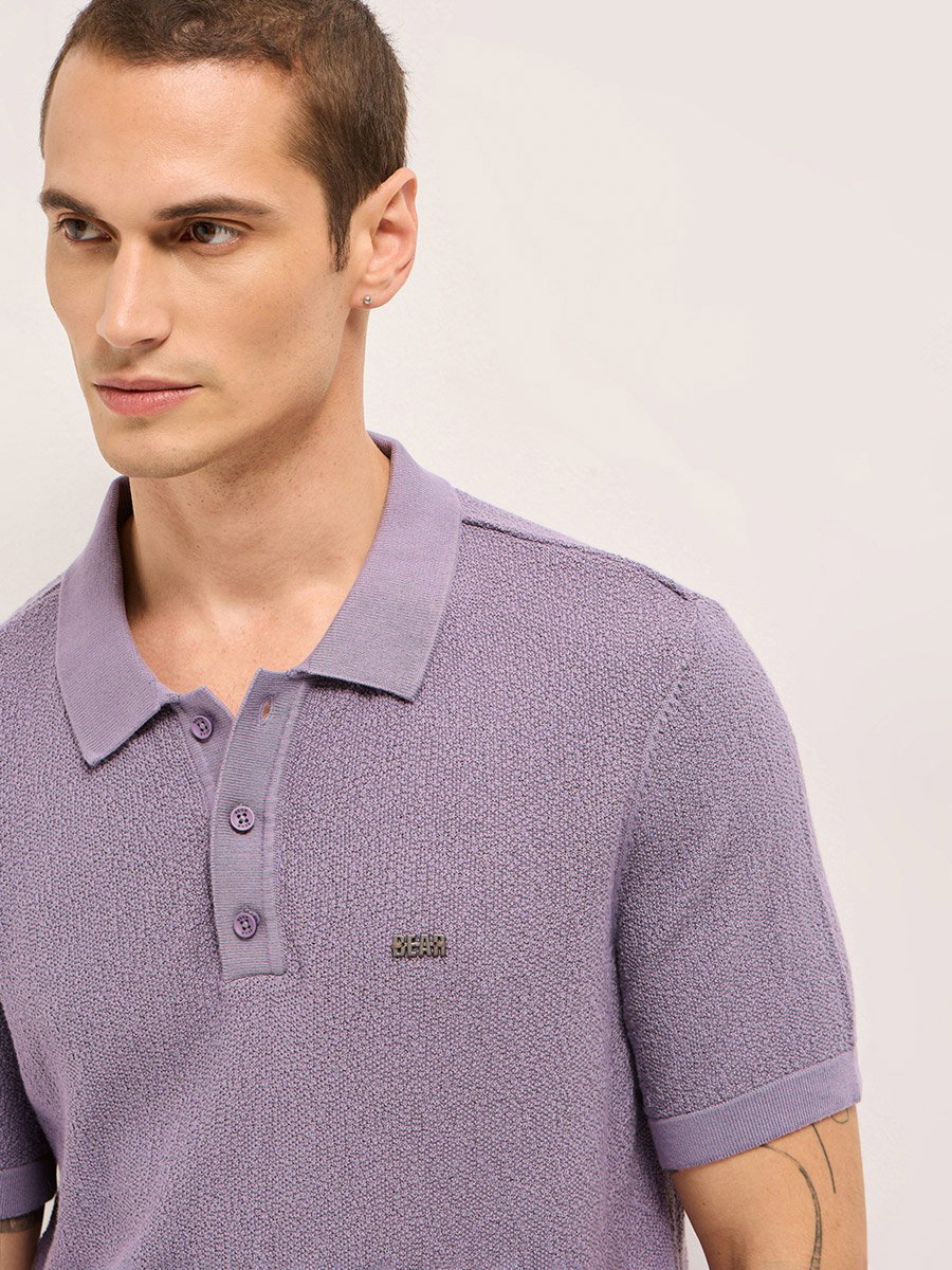 Men Solid Textured Flat Knit Regular Fit Polo