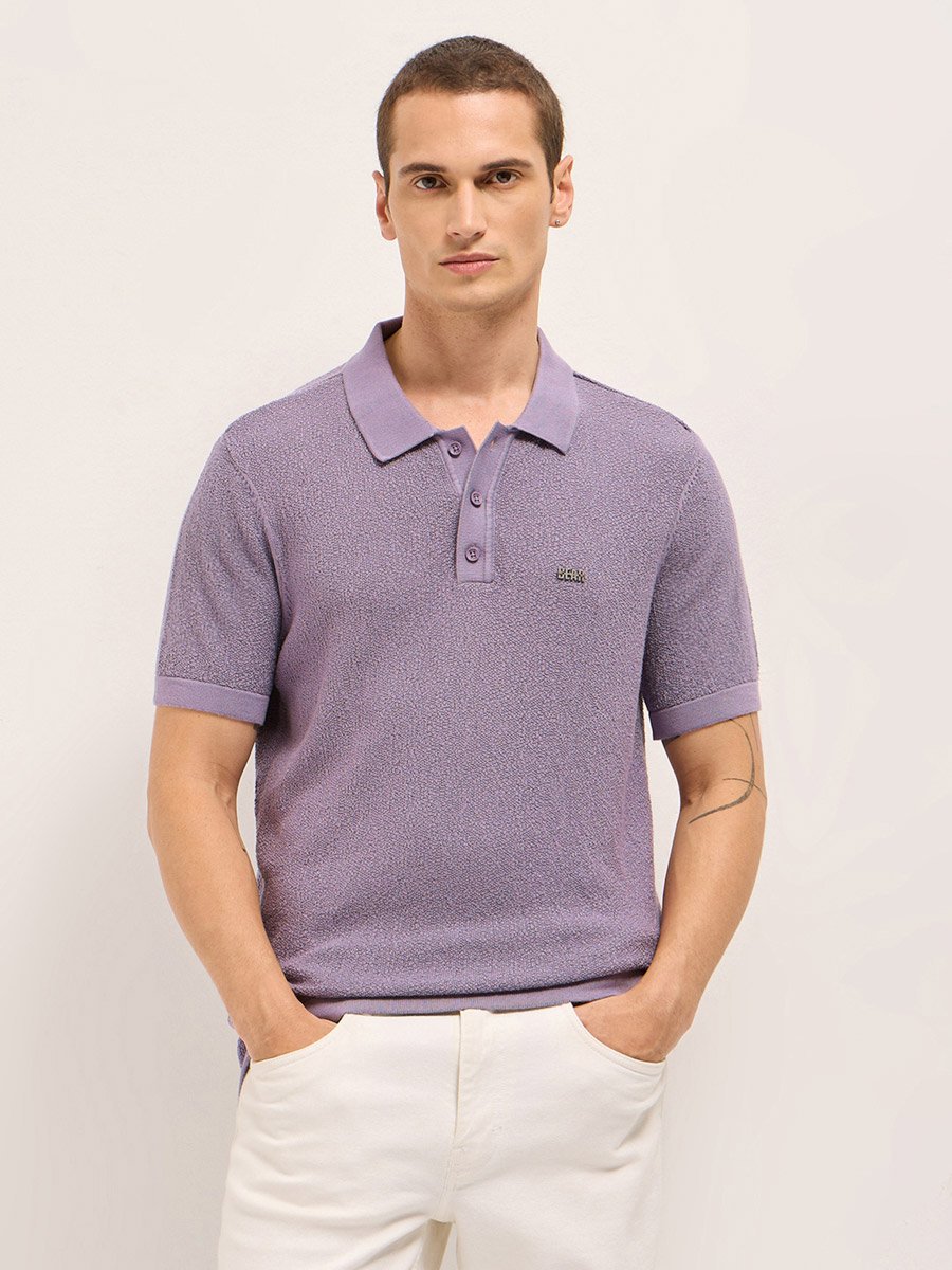 Men Solid Textured Flat Knit Regular Fit Polo