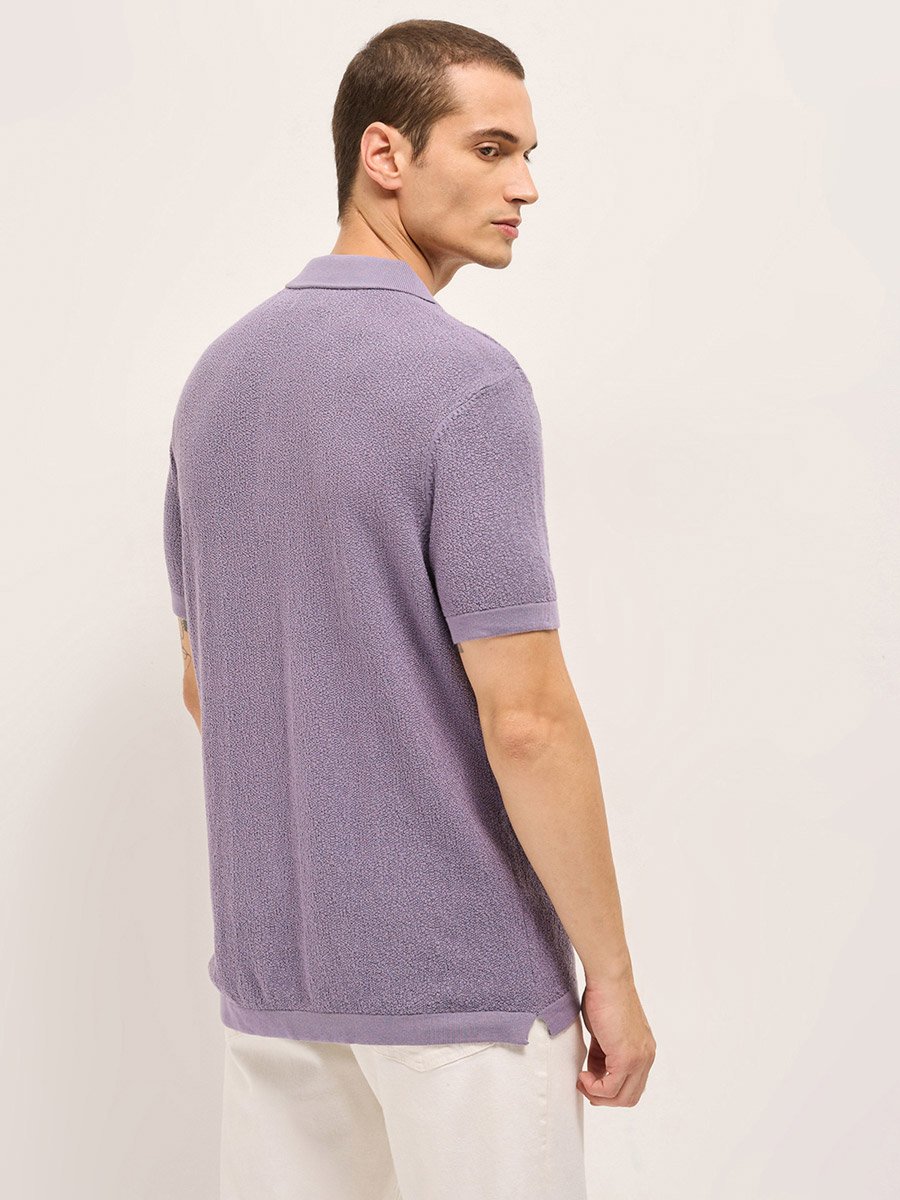 Men Solid Textured Flat Knit Regular Fit Polo