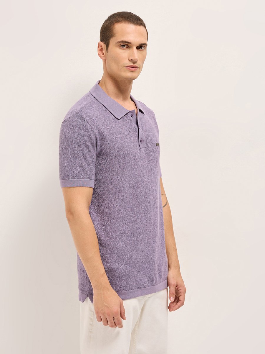 Men Solid Textured Flat Knit Regular Fit Polo