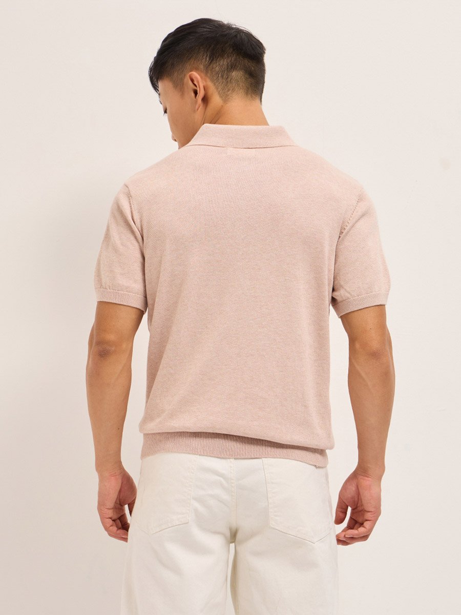 Men Solid Cotton Regular Fit Polo