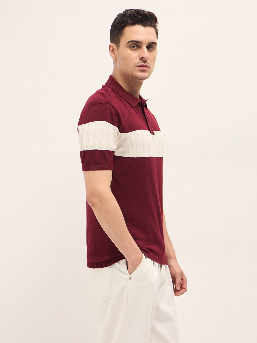 Men Cotton Self Design Polo