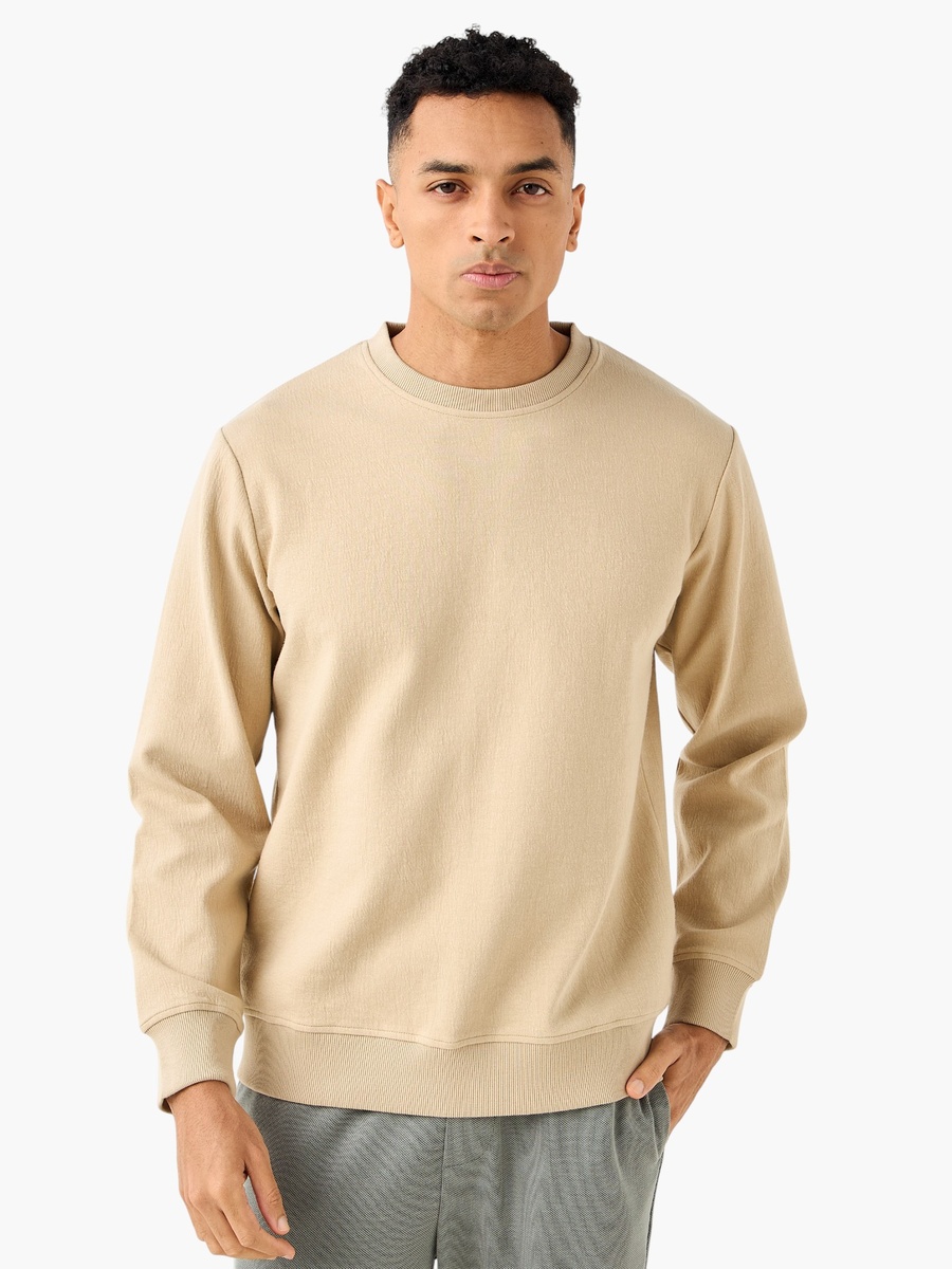 Men Regular Fit Sweatshirt