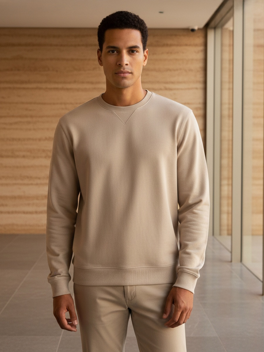 Men Regular Fit Crew Neck Sweatshirt
