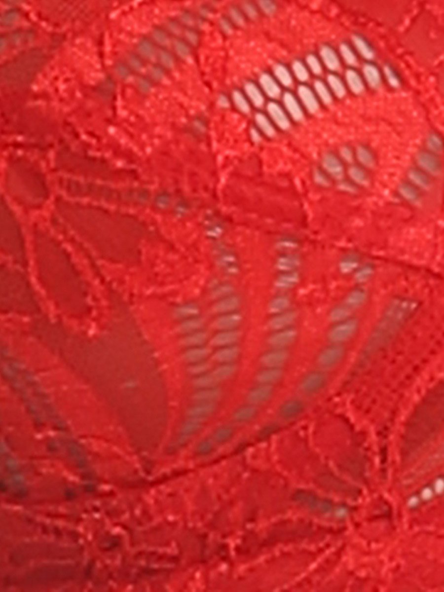Lace Non-Padded Wirefree Full Coverage Bra