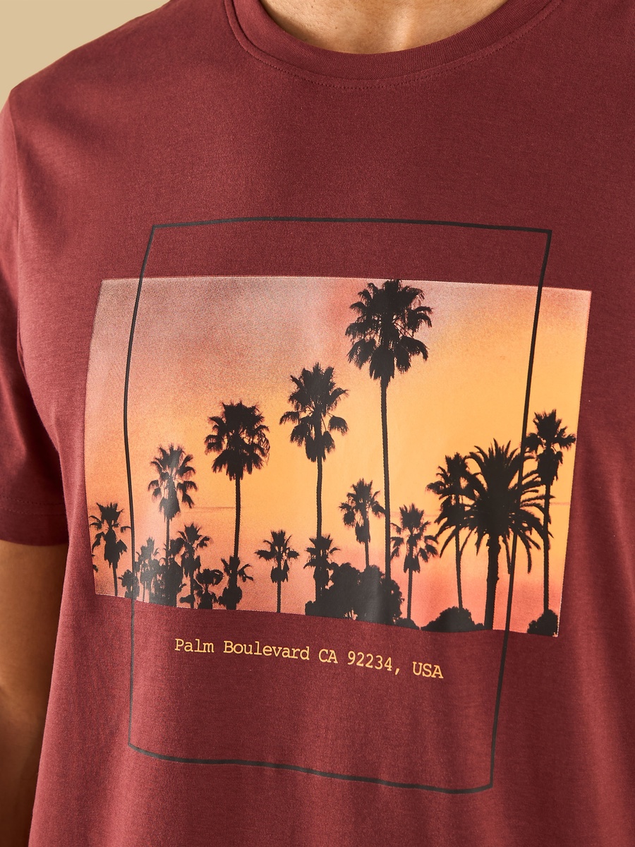 Graphic Print T-Shirt
