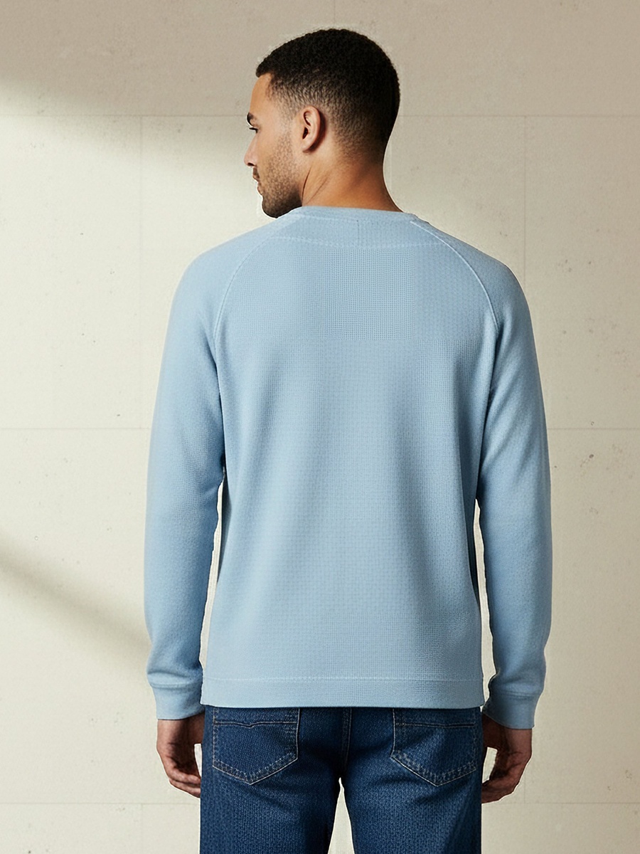 Men Regular Fit Crew Neck Long Sleeve Textured T-Shirt