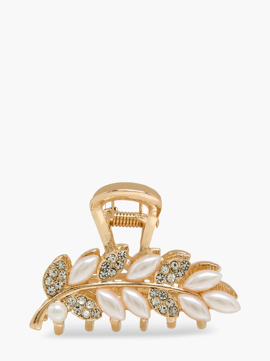 Pack of 2 Assorted Hair Clamps with Embellishment