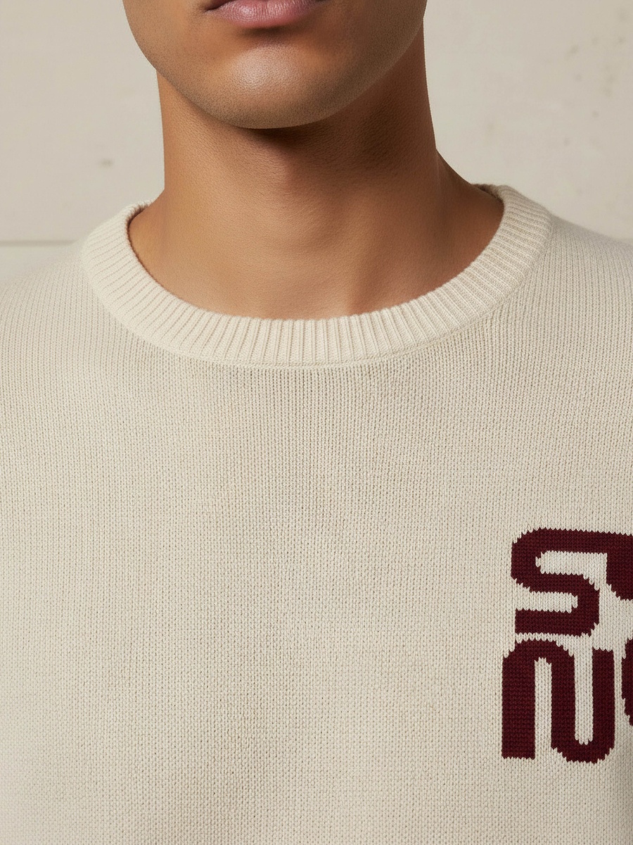 Men Crew Neck Jacquard Sweater