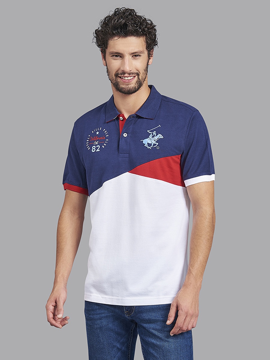 Men Regular Fit Color Block Polo