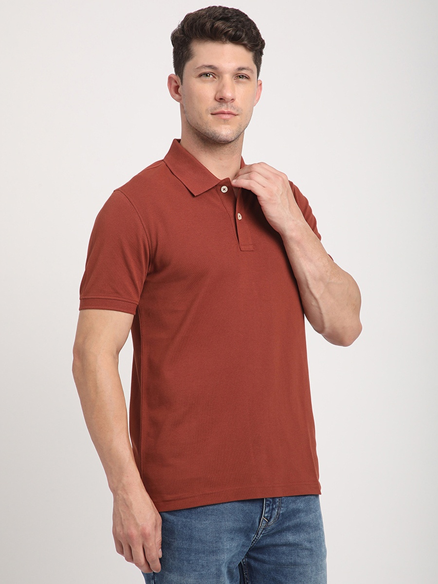 Men Regular Fit Cotton Polo