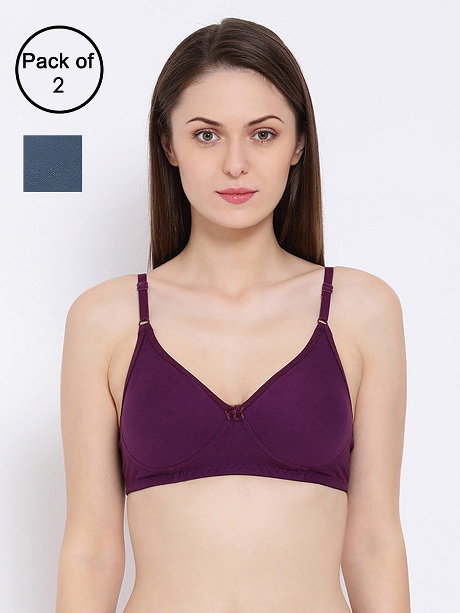 Pack of 2 - Non-Padded Non-Wired Cotton T-Shirt Bra
