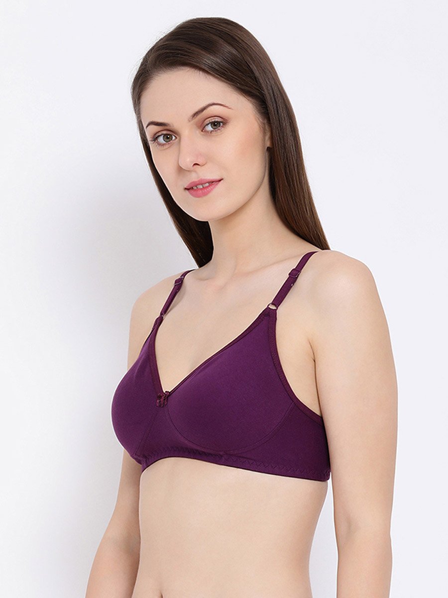 Pack of 2 - Non-Padded Non-Wired Cotton T-Shirt Bra