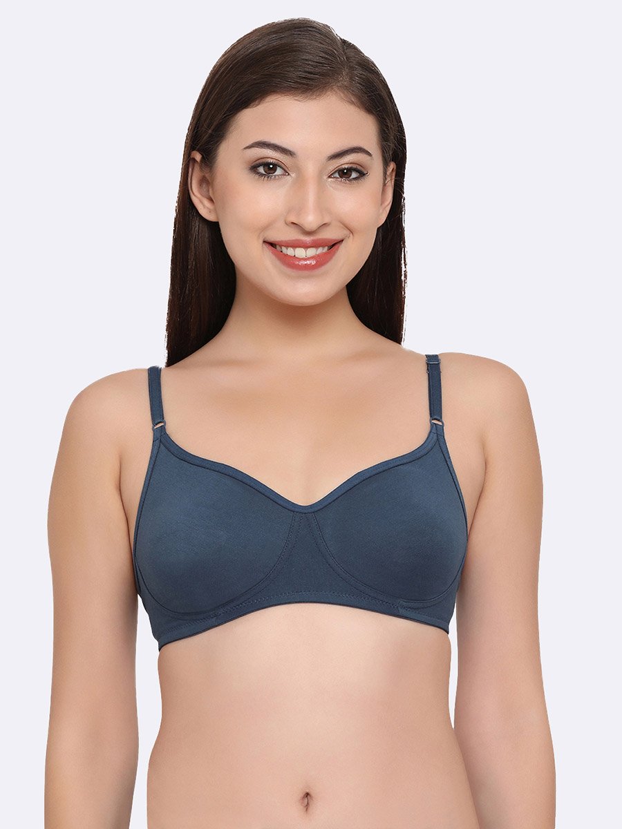 Pack of 2 - Non-Padded Non-Wired Cotton T-Shirt Bra
