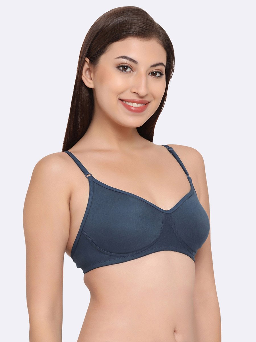 Pack of 2 - Non-Padded Non-Wired Cotton T-Shirt Bra
