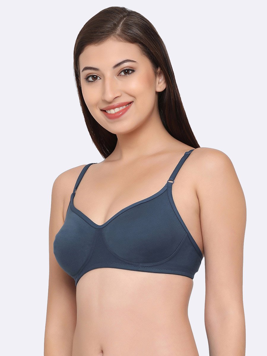 Pack of 2 - Non-Padded Non-Wired Cotton T-Shirt Bra