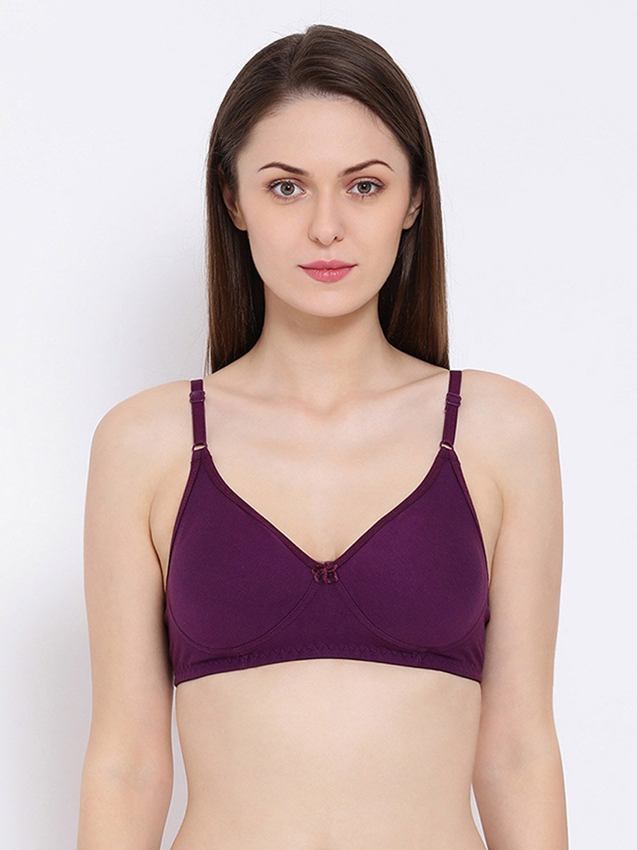 Pack of 2 - Non-Padded Non-Wired Cotton T-Shirt Bra