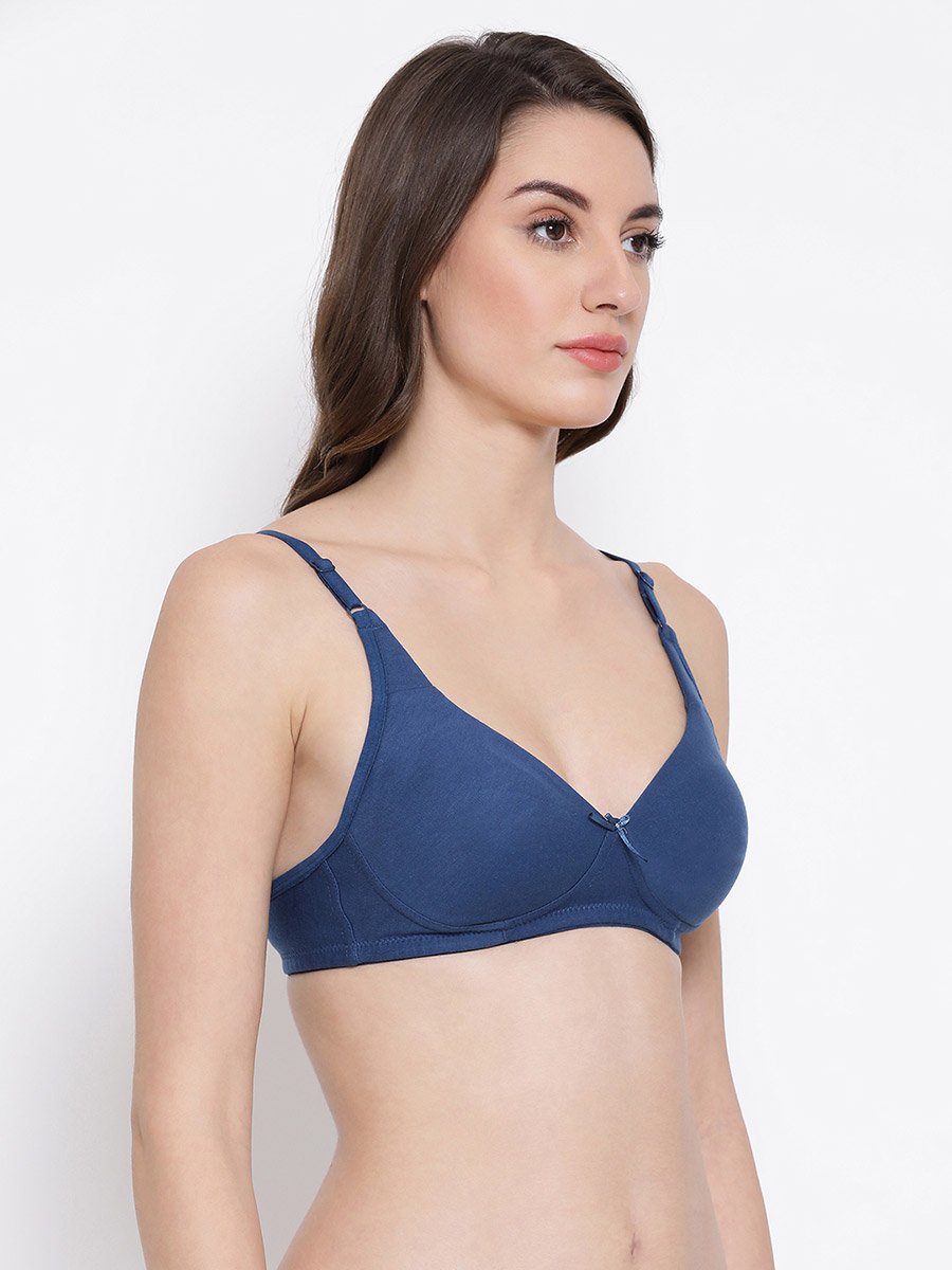 Pack of 2 - Non-Padded Non-Wired Cotton T-Shirt Bra
