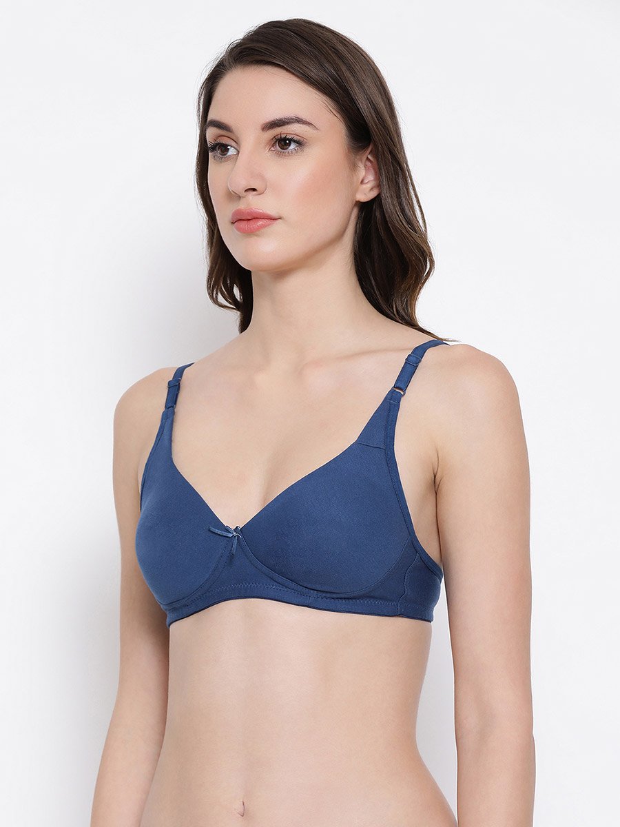 Pack of 2 - Non-Padded Non-Wired Cotton T-Shirt Bra