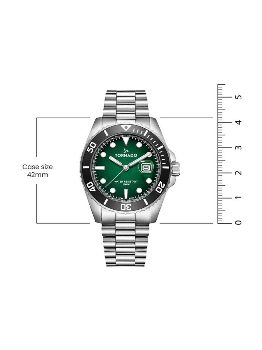 Miyota 2115 Analog Watch with 3H Date Display T22001-SBSHB, Silver