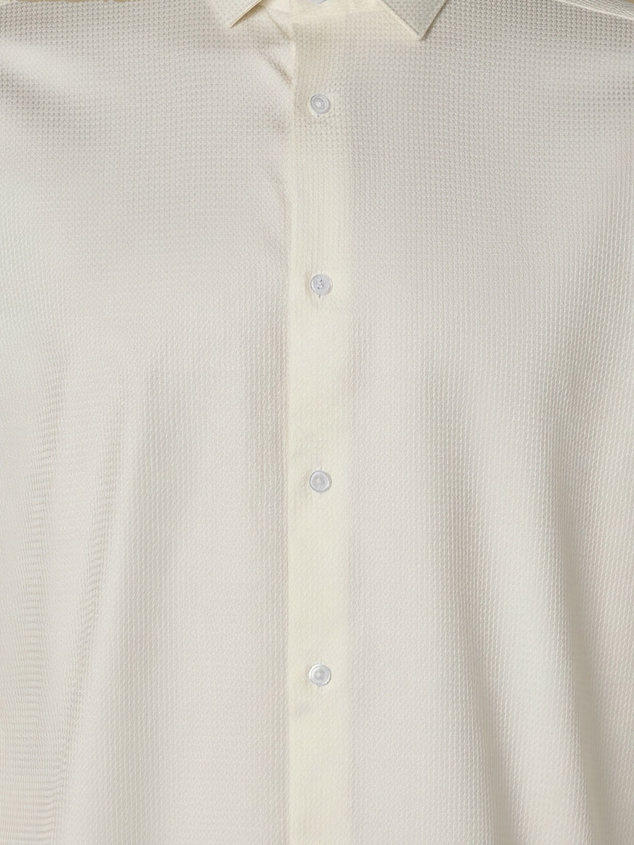 Men Regular Fit Collared Textured Long Sleeve Shirt