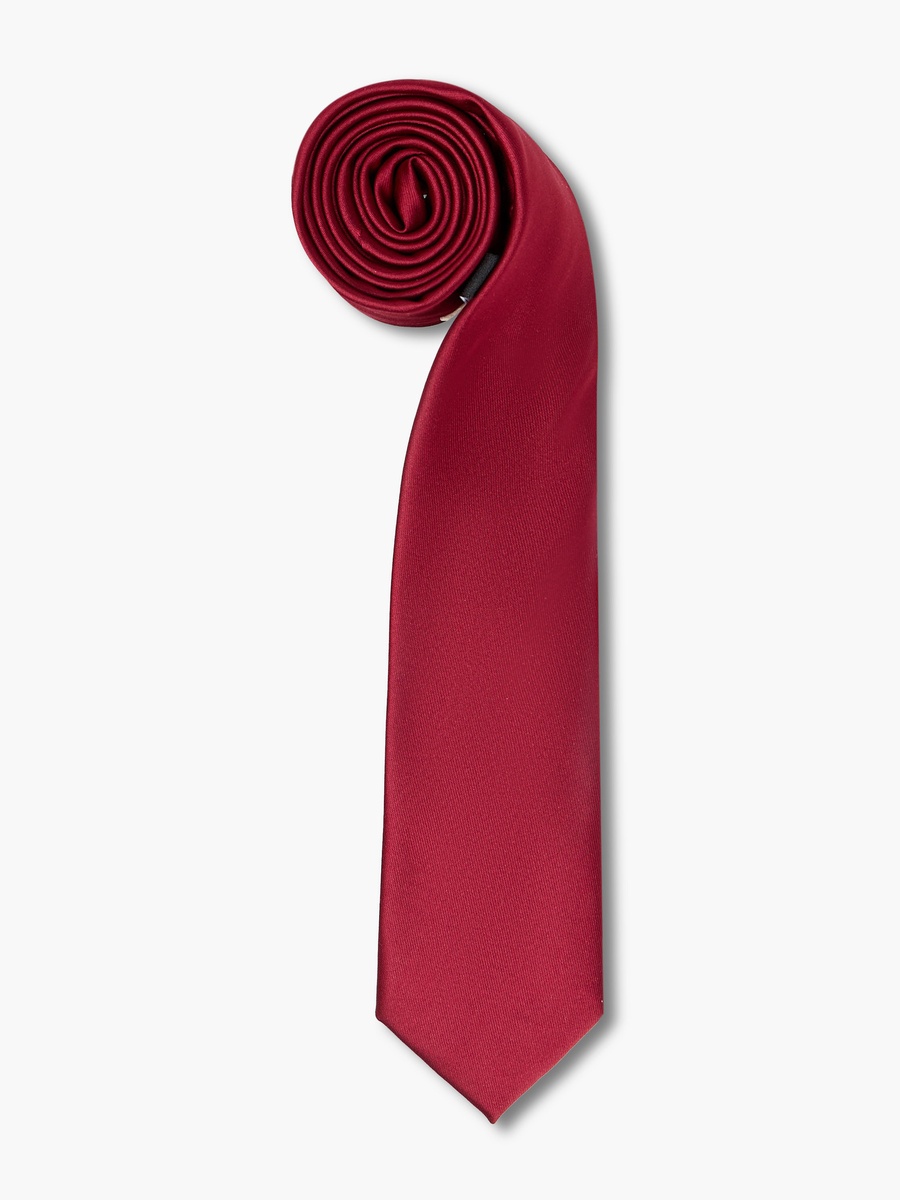 Men Textured Tie