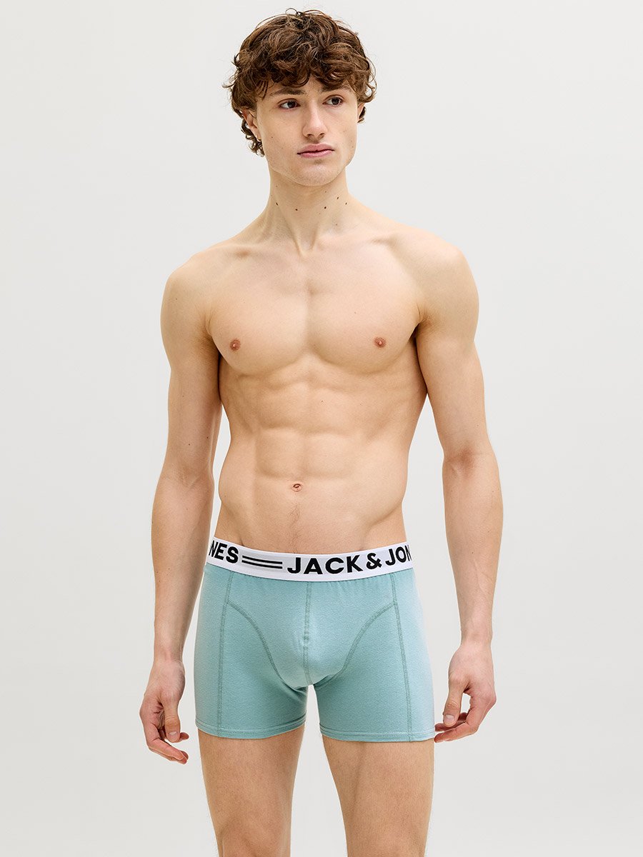 Pack of 3 - Printed Waistband Trunks