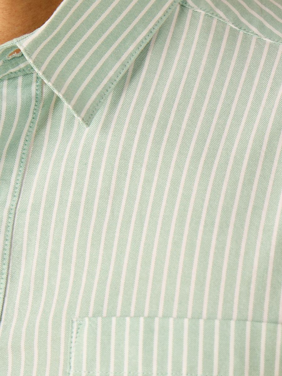 Striped Oxford Shirt