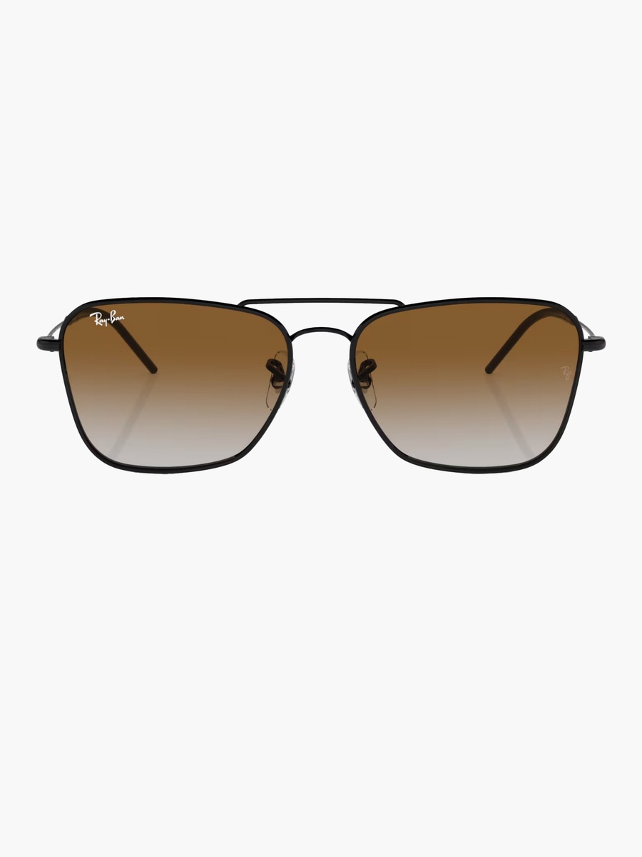 Unisex Wayfarer Brown Lens Sunglasses