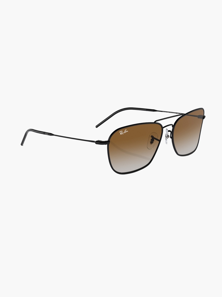 Unisex Wayfarer Brown Lens Sunglasses