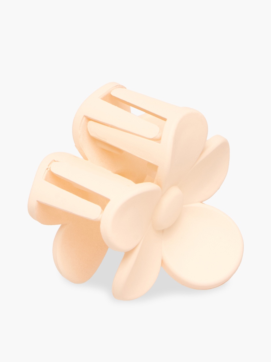 Pack of 2 Assorted Hair Clamp with Matte Finish