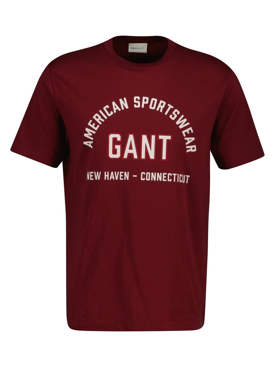 Men Printed Graphic Short Sleeve T-Shirt