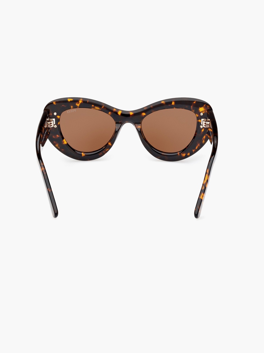 50MM Brown Cat Eye Sunglasses EP021252E50