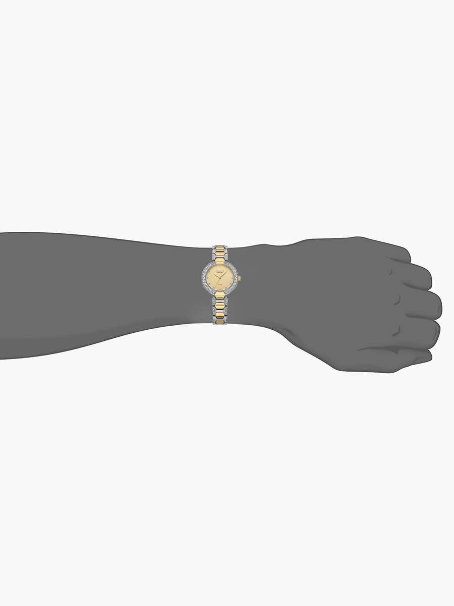 Women Silver and Gold Strap Analog Watch - 00JSS004N001