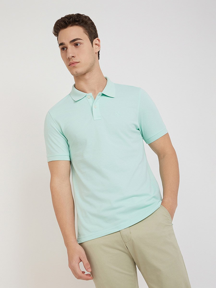 Men Green Regular Fit Solid Polo T-Shirt