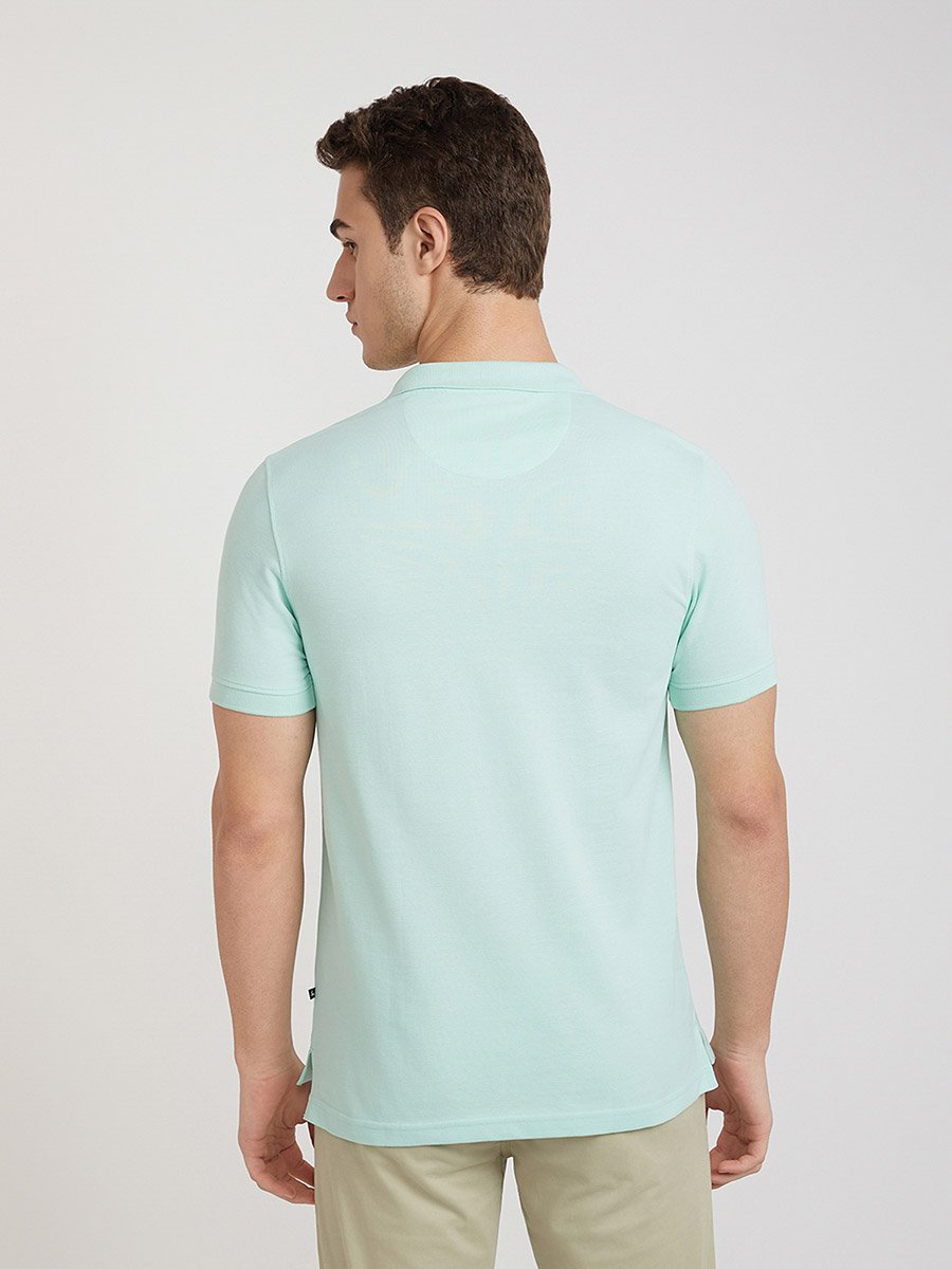 Men Green Regular Fit Solid Polo T-Shirt