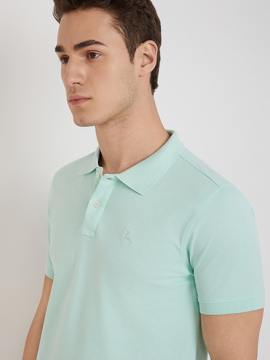 Men Green Regular Fit Solid Polo T-Shirt