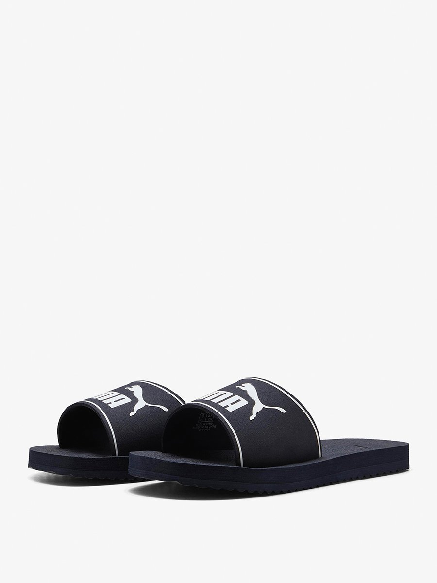 Purecat 2.0 Slides
