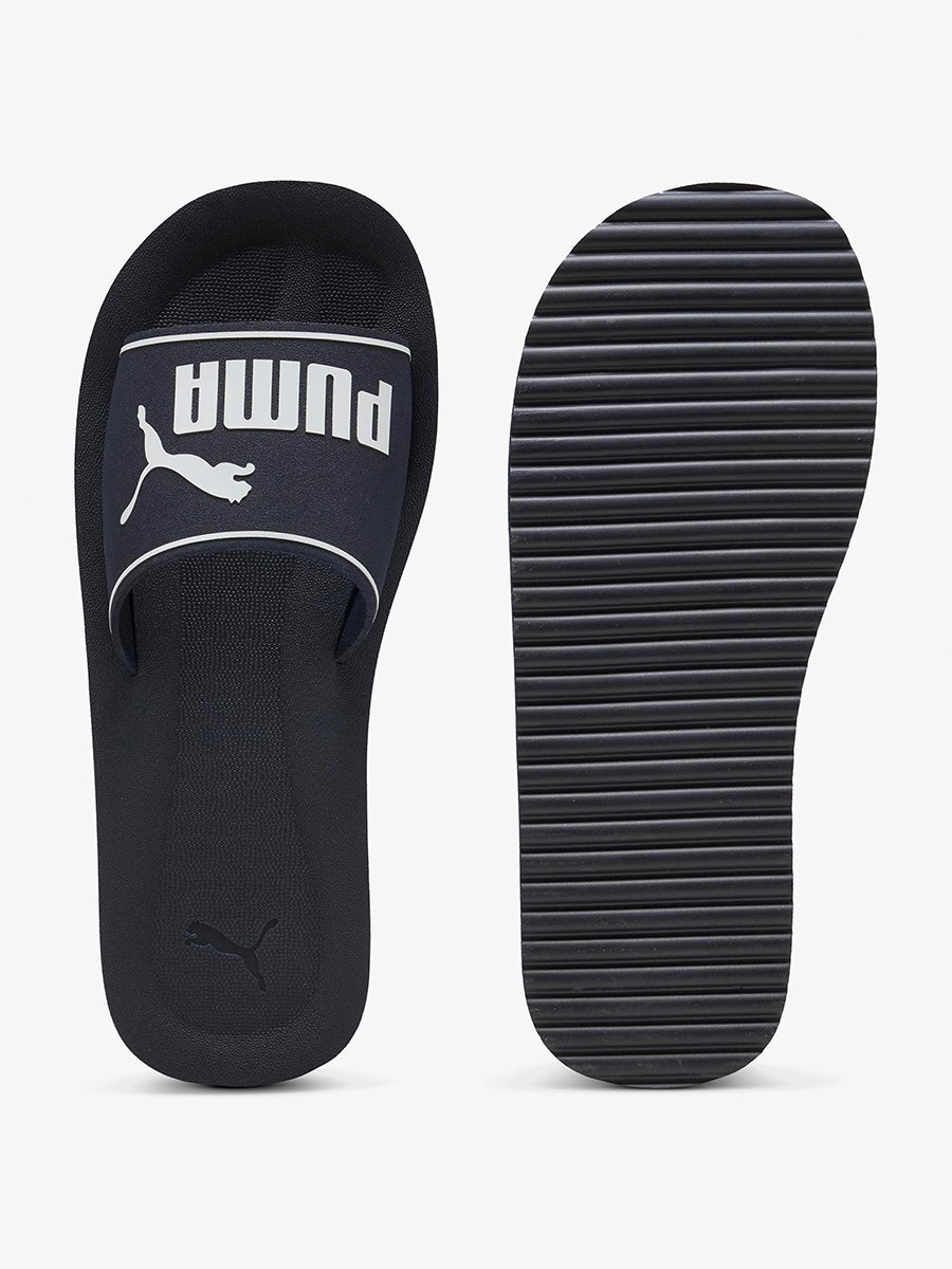 Purecat 2.0 Slides