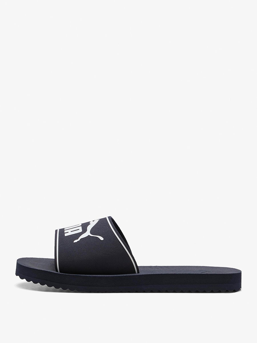 Purecat 2.0 Slides