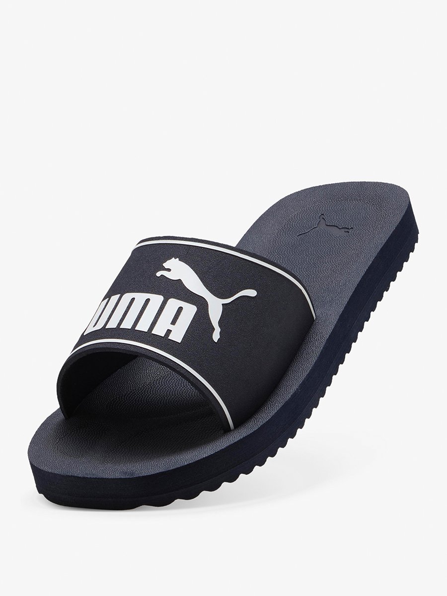 Purecat 2.0 Slides