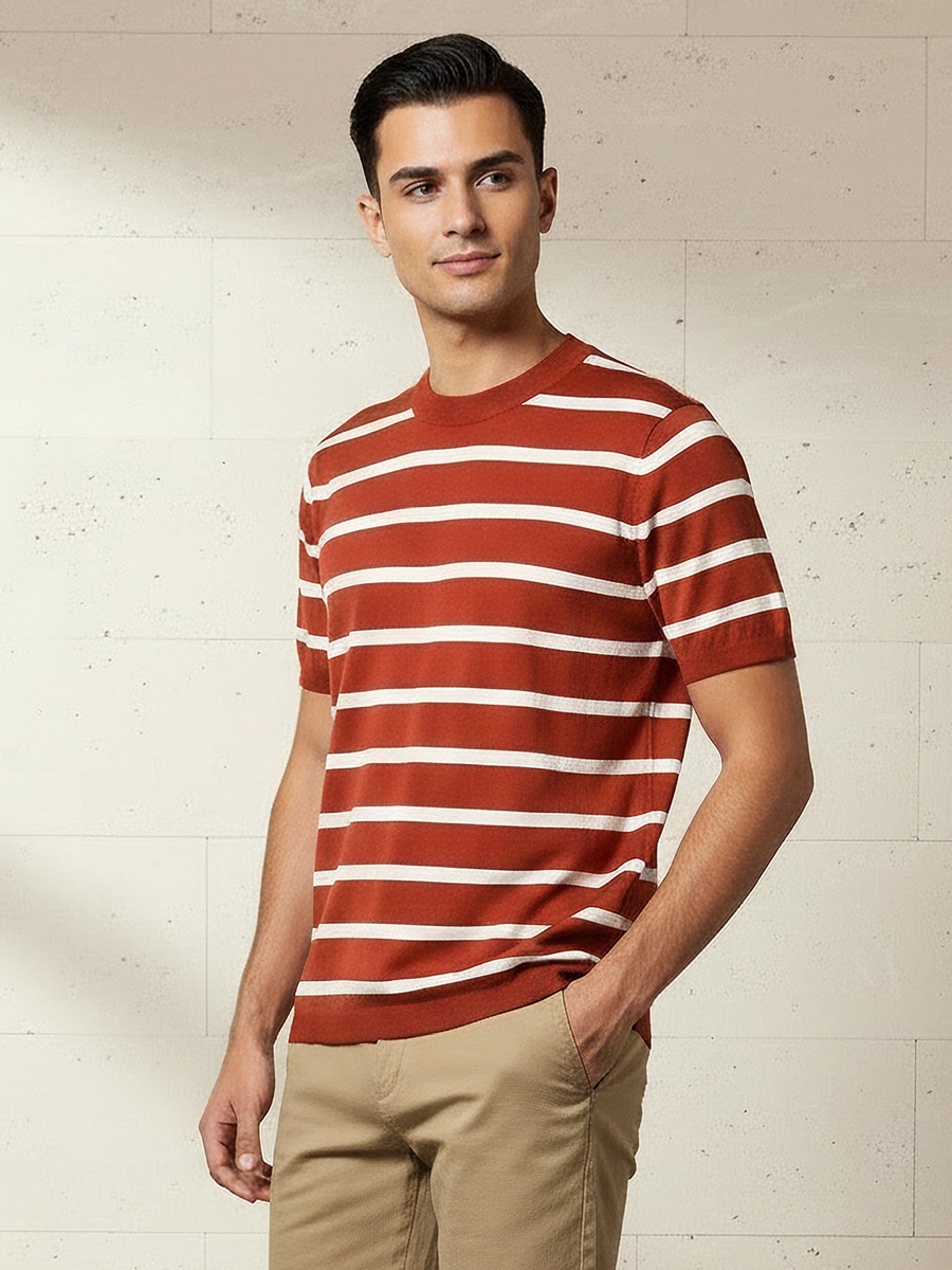 Men Regular Fit Crew Neck Short Sleeves Striped T-Shirt