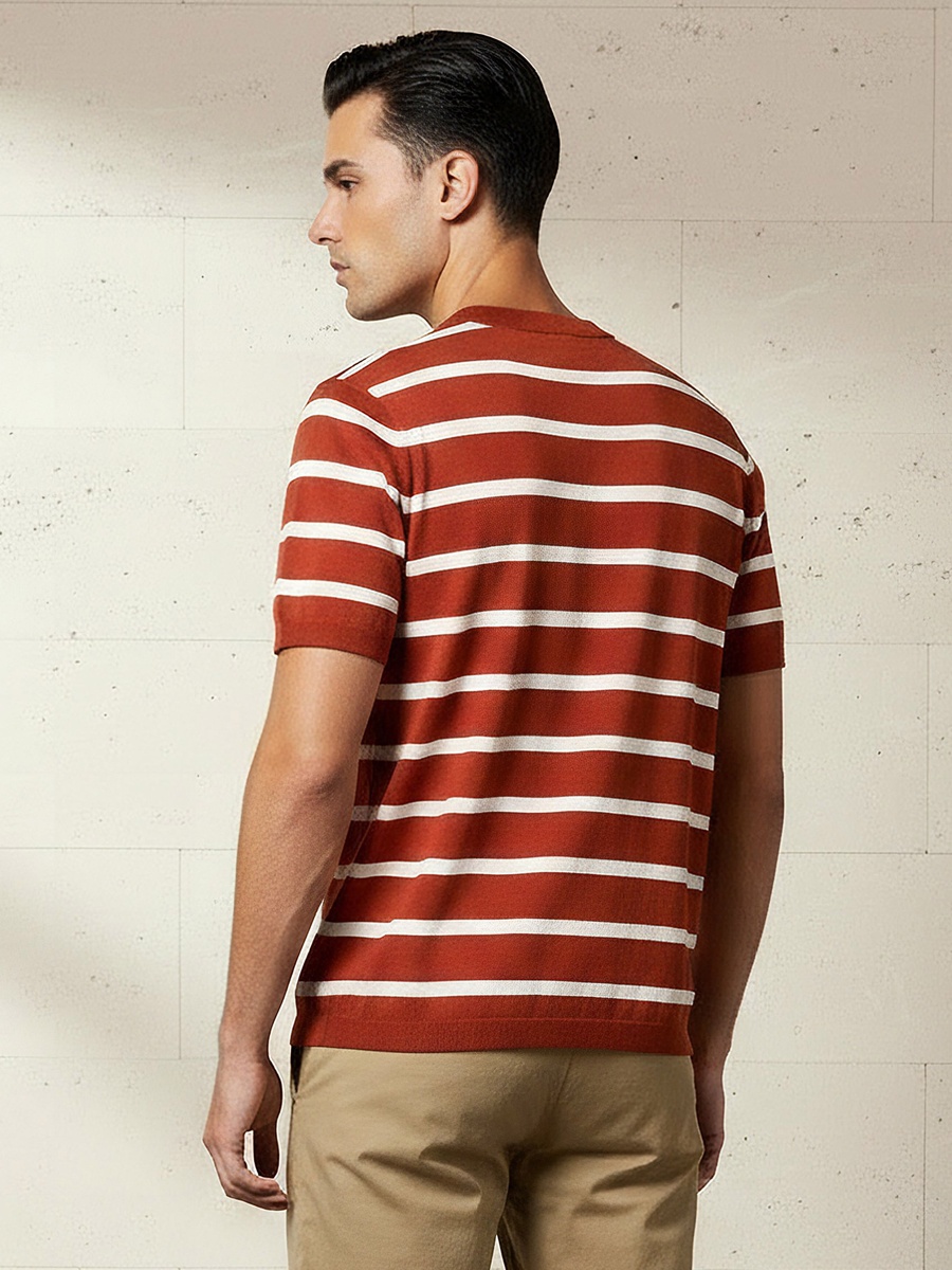 Men Regular Fit Crew Neck Short Sleeves Striped T-Shirt