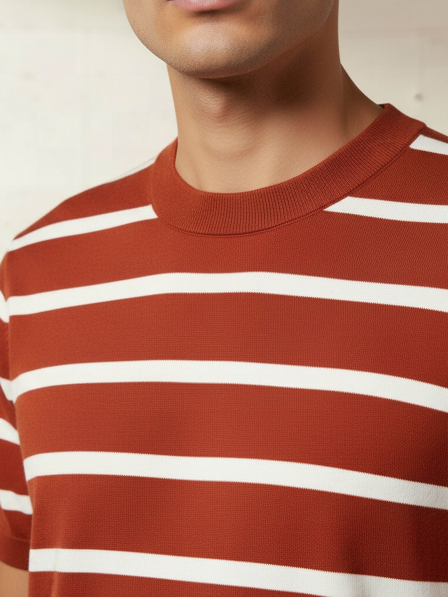 Men Regular Fit Crew Neck Short Sleeves Striped T-Shirt