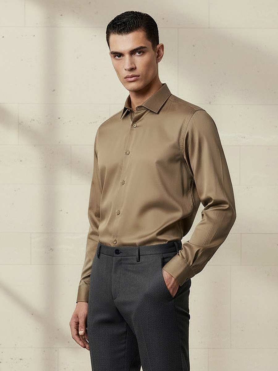 Men Regular Fit Collared Long Sleeve Shirt